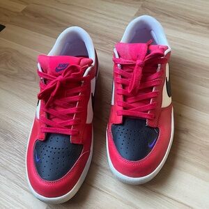 Nike SB Force 58 Premium Dunks